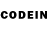 Псилоцибиновые грибы GOLDEN TEACHER TheObsidiant