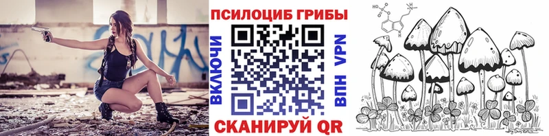 Псилоцибиновые грибы Psilocybine cubensis Волгоград